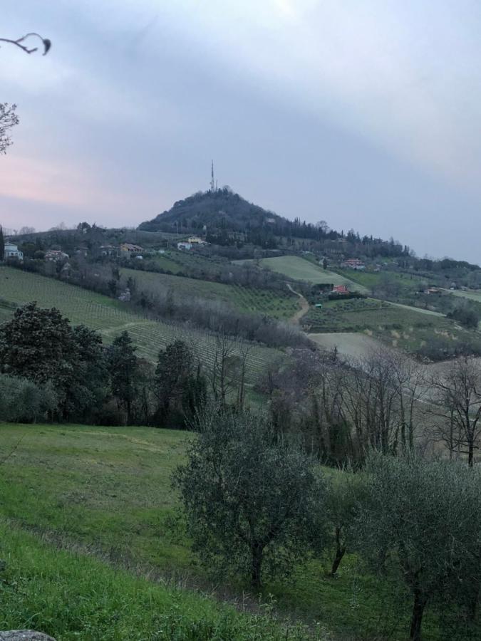225 Bracciano (Forli-Cesena)